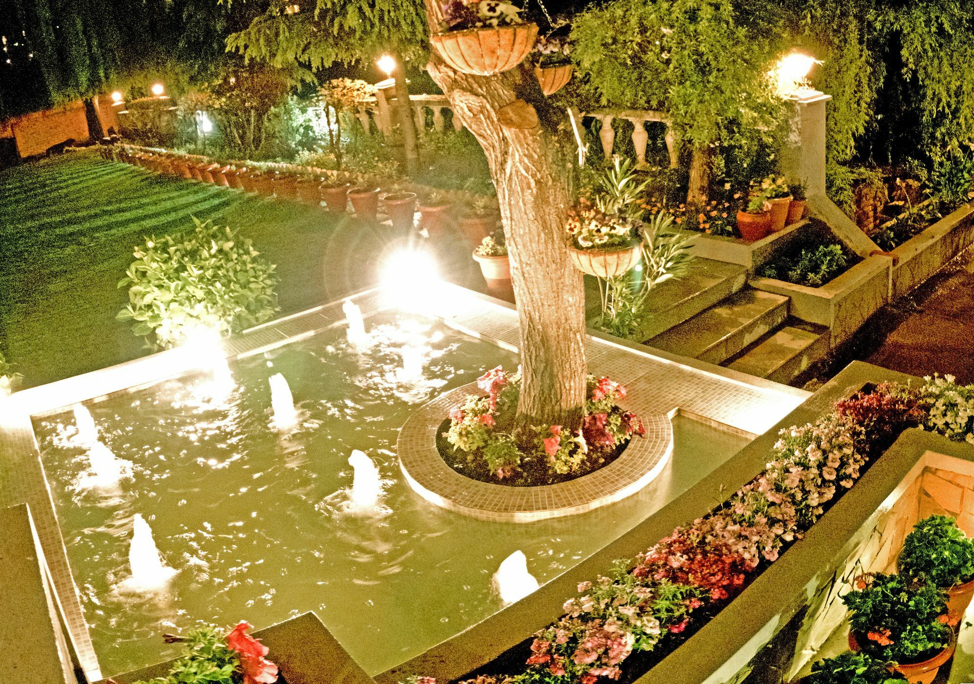 Royal Jardin Whistling Pines Resort Shimla Eksteriør billede